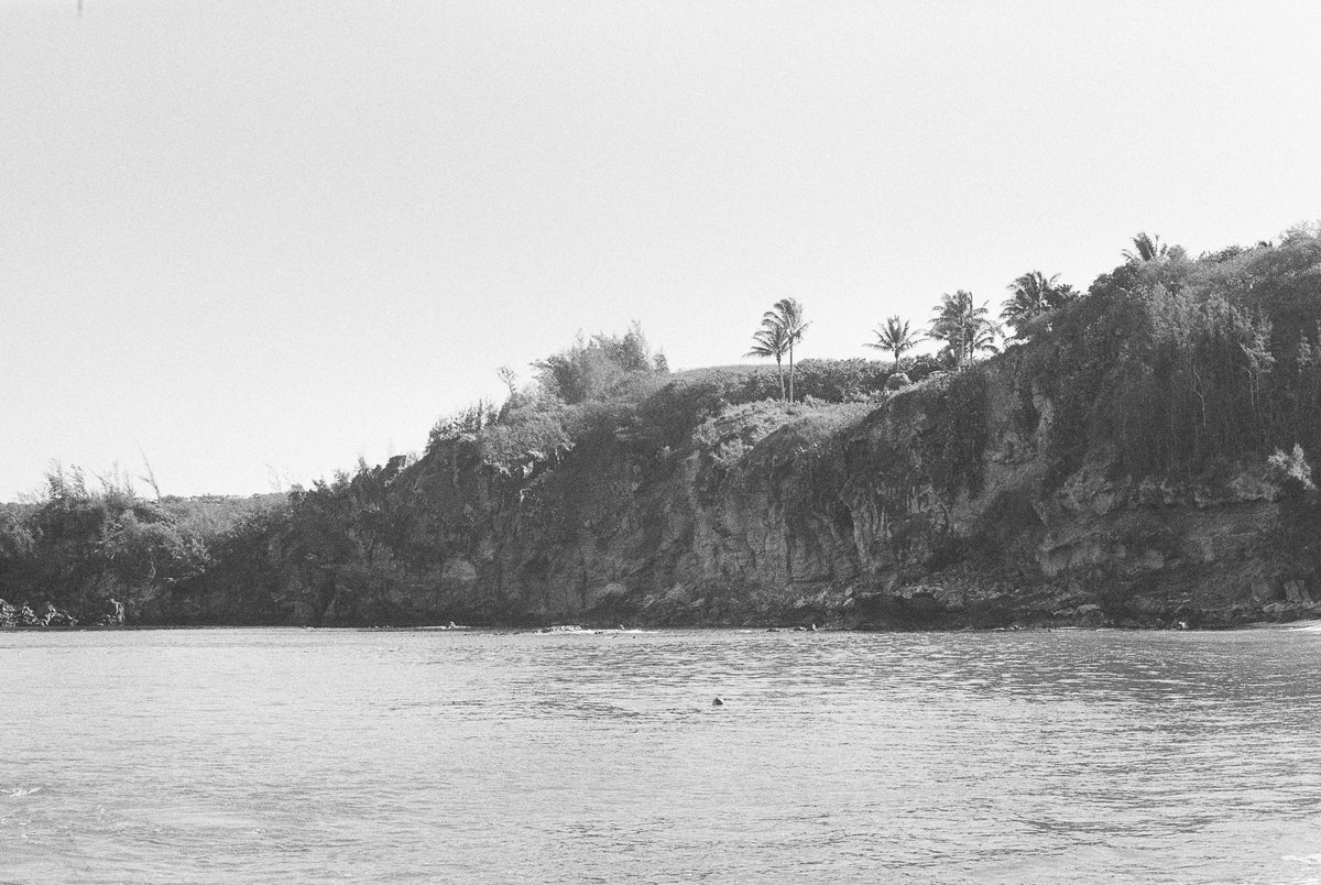 42 The coast of Slaughterhouse Beach – WUESTE