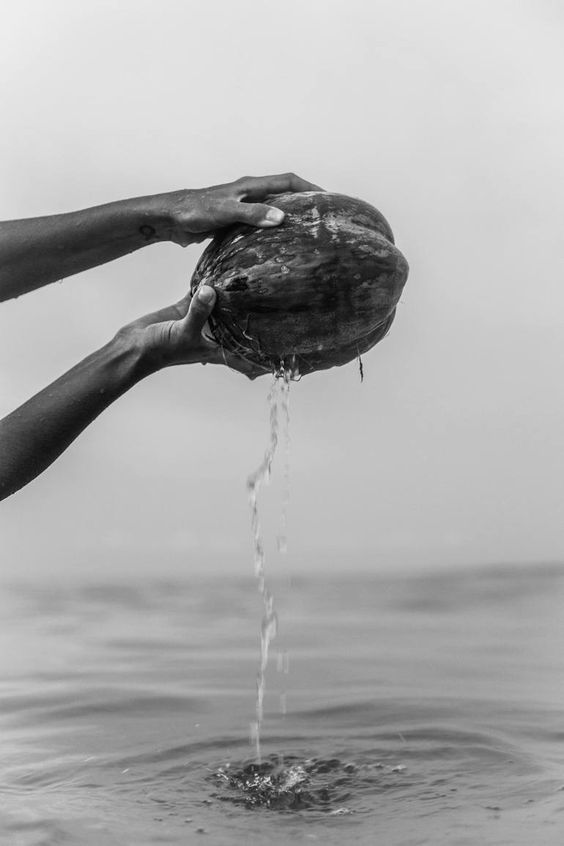 44 Beached coconut, Eszter Papp.